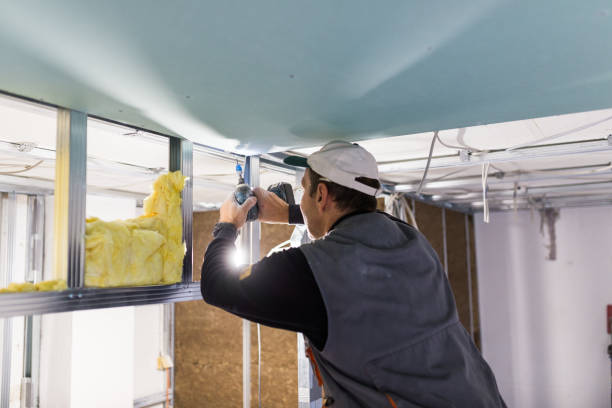 Best Eco-Friendly Insulation in Langley Park, MD