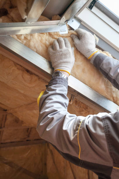 Best Fiberglass Insulation in Langley Park, MD