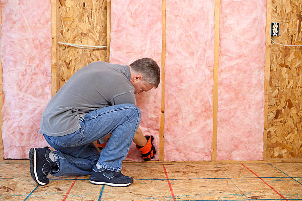 Best Specialized Insulation Services in Langley Park, MD